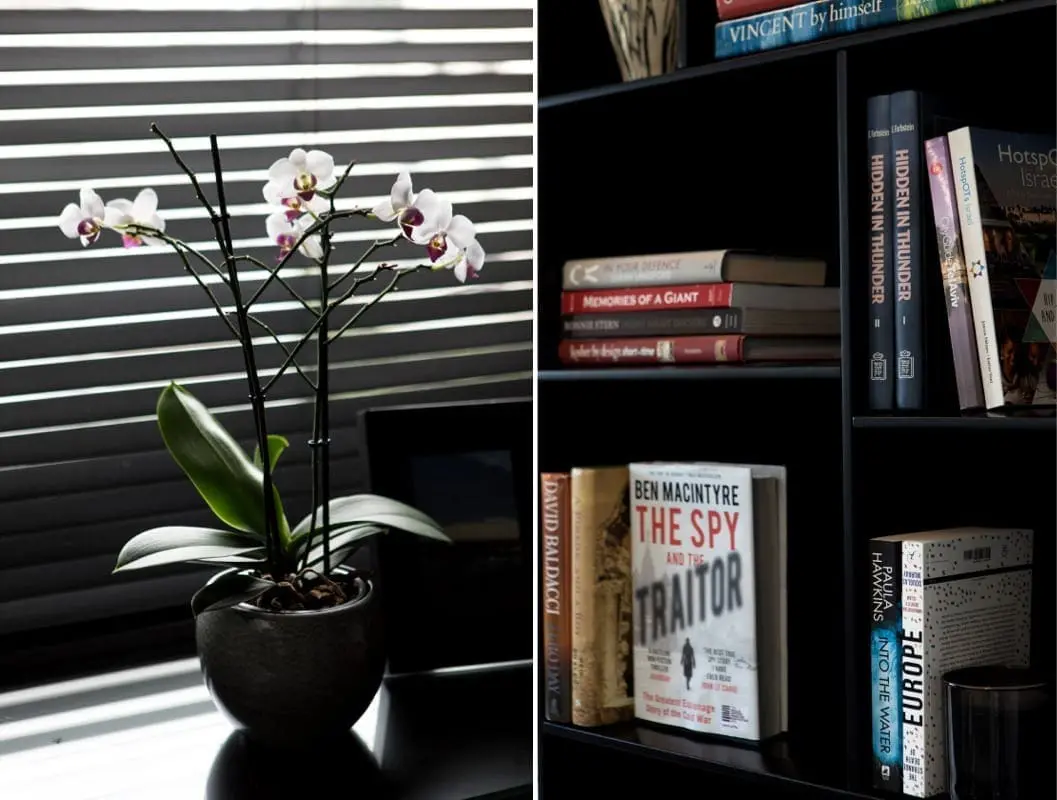 Yetti Slasky - יטי סלסקי (6)